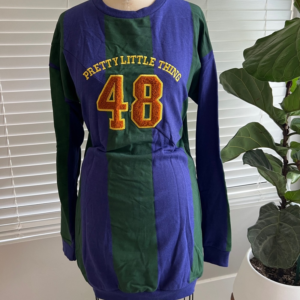 Pretty little things sweater dress size 4